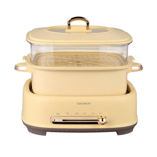 大宇 多功能蒸煮烤锅 DYZG-5030 商品图0