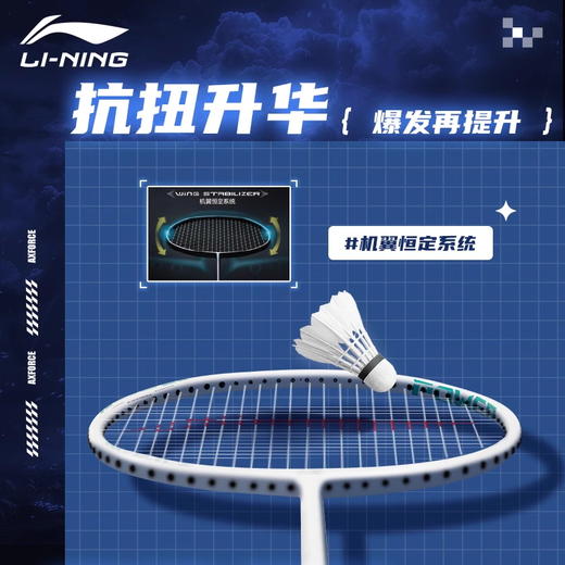 李宁LINING雷霆10羽毛球拍 入门训练羽毛球拍单拍 商品图1