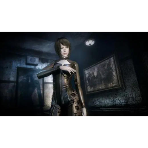 【共享租借】任天堂Switch游戏卡 零 月蚀的假面 商品图4