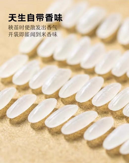 察农·有机稻花香米礼盒·5kg  一级米颗粒饱满 煮饭软糯香甜有弹性 商品图5