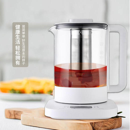 养生壶DDQ-SH207 商品图0