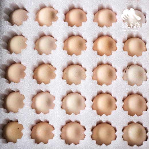 生态芦花鸡鸡蛋（新增初生蛋） | 合作生产 *Eco-egg | Partner Production 商品图4