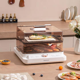 大宇 20L电蒸箱 DYZL-201A