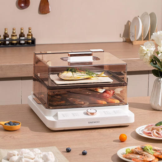 大宇 20L电蒸箱 DYZL-201A 商品图0