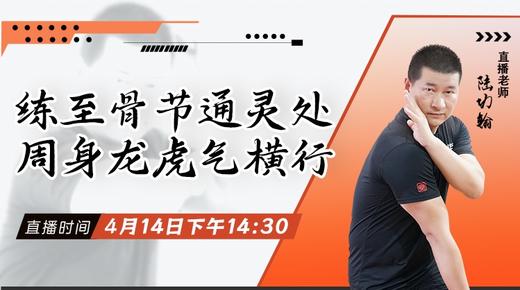【4月14日】练至骨节通灵处，周身龙虎气横行——功夫课堂 商品图0