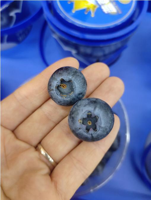 蓝莓抱抱桶一桶 商品图2