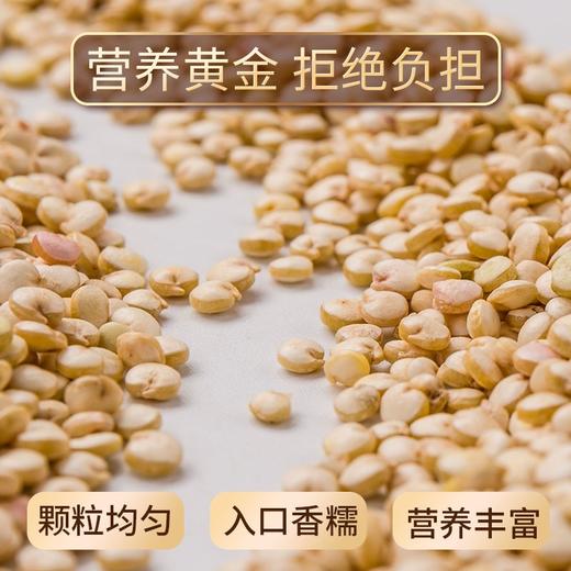 五谷磨房藜麦八宝粥 500g 商品图0
