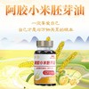 阿胶小米胚芽油  运动营养食品 商品缩略图0