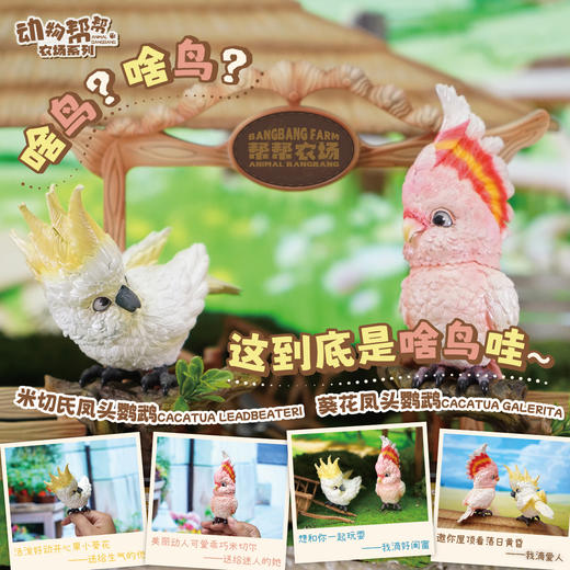 小葵花鹦鹉&米切尔鹦鹉  啥鸟系列③ 模型摆件 鸟类周边 ★动物帮帮 官方正品【48小时发货】 商品图4