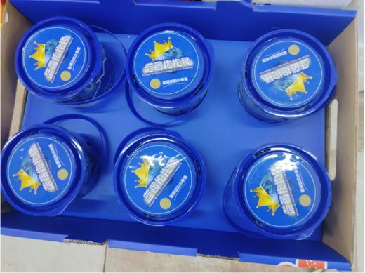 蓝莓抱抱桶一桶 商品图0