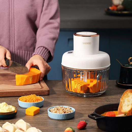 大宇绞肉机 DYJR-301S（米白色） 商品图0