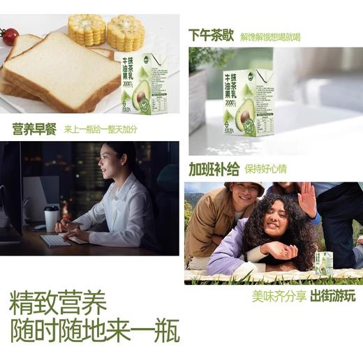 嚼绊牛油果抹茶乳 果香茶香乳香 三重口味 商品图4