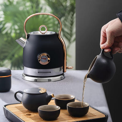 大宇电水壶 电热水壶 1.5L DYSH-D05 商品图0