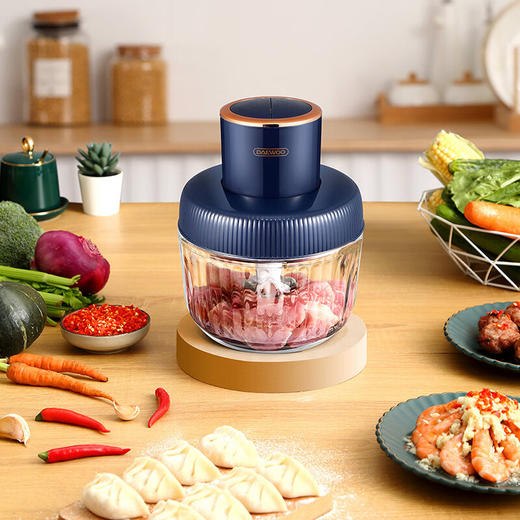 大宇绞肉机 小型料理机 DYJR-302S（宝蓝色） 商品图0