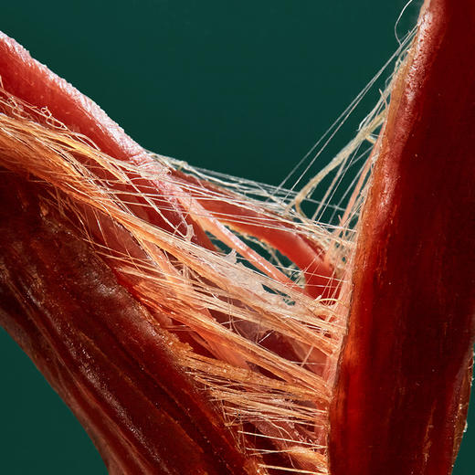 华凌牛业·牛肉熟食礼盒E 1526g  精选优质肉牛部位 礼盒精致大气 商品图4