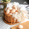 生态芦花鸡鸡蛋（新增初生蛋） | 合作生产 *Eco-egg | Partner Production 商品缩略图3