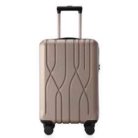 外交官拉杆箱-香槟金-24英寸HM-6083