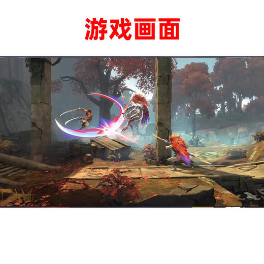 【共享租借】任天堂Switch游戏卡 bo si王子 商品图4