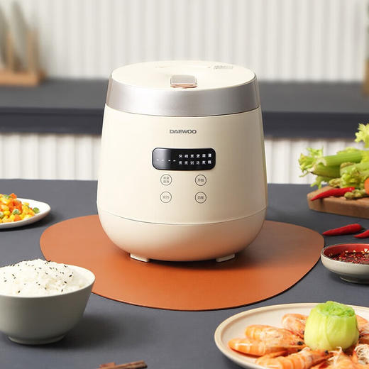 大宇电饭煲 迷你电饭煲 2L DYFB-205H 商品图0