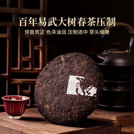 双陈普洱茶2025年福润95熟茶357克茶叶口粮茶七子饼送礼易武产区 商品图2