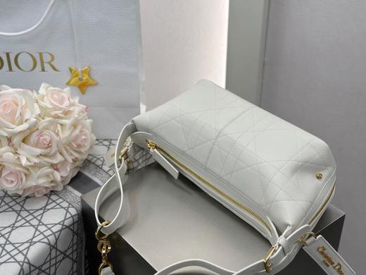 DIOR迪奥D-Journey金色五金配件拉链开合牛皮单肩包中号小号系列（HH） 商品图2