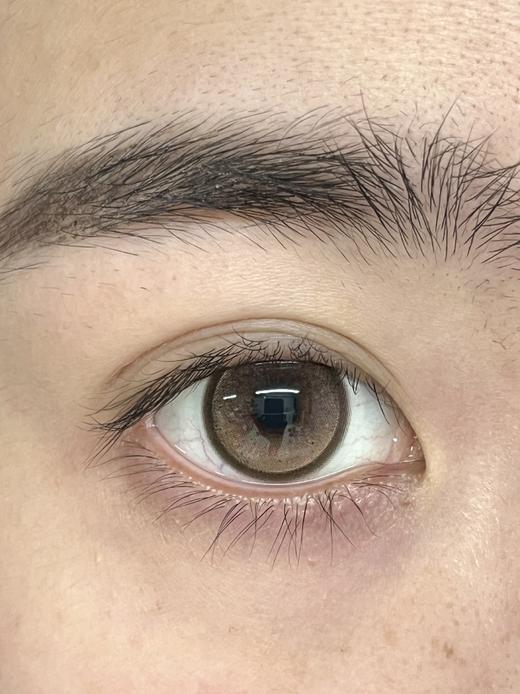 Kira Fairy日抛 · 核桃谷子&脆玻璃&鹿茸杏子 ｜14.5mm白狮参考着色中大直径 日抛十片装 商品图1