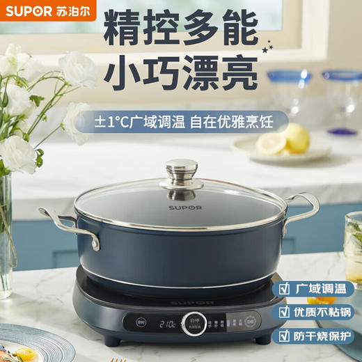 苏泊尔（SUPOR) 电磁炉精控火力广域调温多功能COCO超薄系列C21-ICD32 商品图0