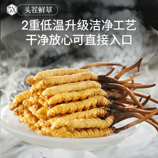 [火热预售中]  阿依舍2025年新鲜冬虫夏草礼盒 商品图2