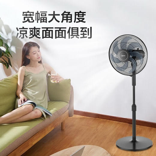 电风扇FSA40VC 商品图0