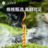 [火热预售中]  阿依舍2025年新鲜冬虫夏草礼盒 商品缩略图7