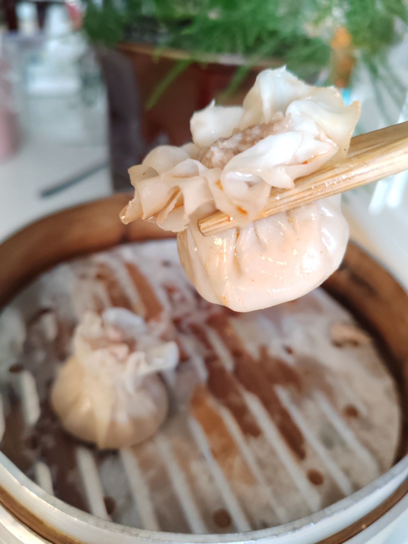 鲜肉笋尖烧卖12.8元1盒12枚，明天到