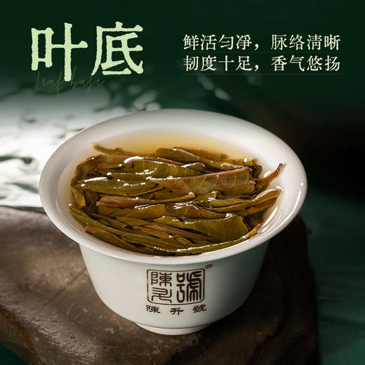 陈升号 2023年陈升一号357g（生茶） 商品图3