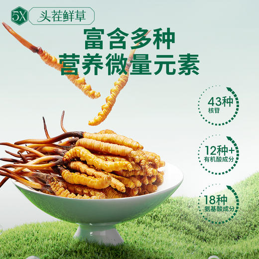 [火热预售中]  阿依舍2025年新鲜冬虫夏草礼盒 商品图5