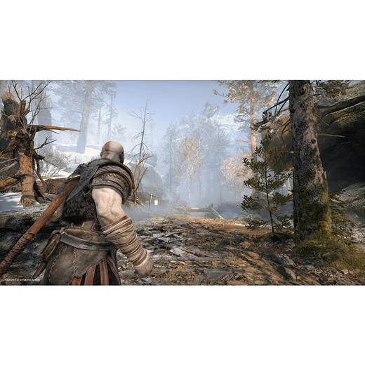 【共享租借】索尼（SONY）PS4游戏光盘 PS4 底特律 变人 商品图1