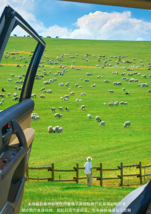 【穿越阿尔山&呼伦贝尔】沈阳+扎龙丹顶鹤+哈尔滨7 天 商品图2
