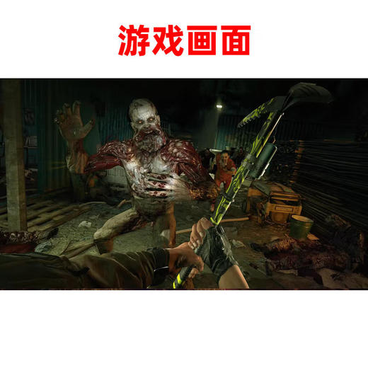 【共享租借】任天堂Switch游戏卡 消逝的光芒 商品图1