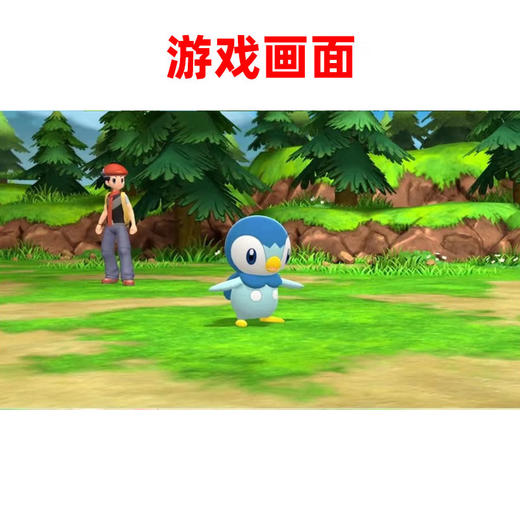 【共享租借】任天堂Switch游戏卡 精灵宝可梦 钻石 商品图1