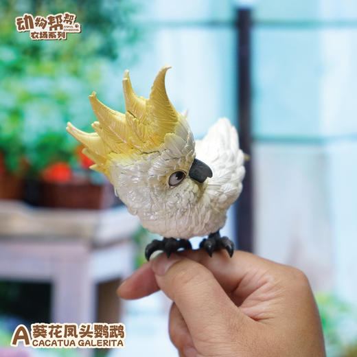 小葵花鹦鹉&米切尔鹦鹉  啥鸟系列③ 模型摆件 鸟类周边 ★动物帮帮 官方正品【48小时发货】 商品图3