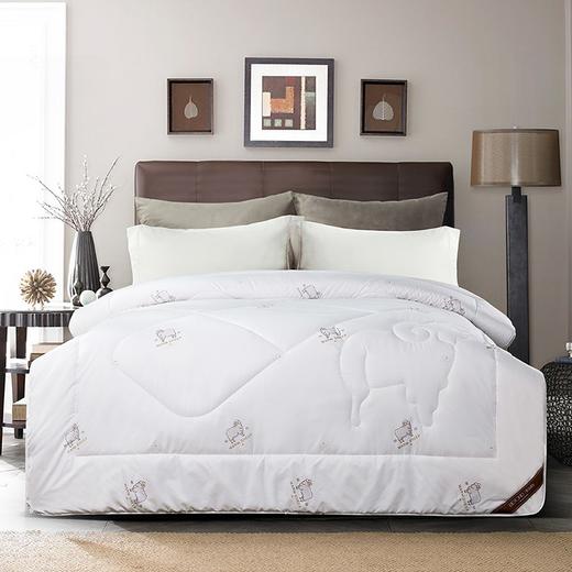 臻品澳洲羊毛被BYYMAZ26-2000 商品图0