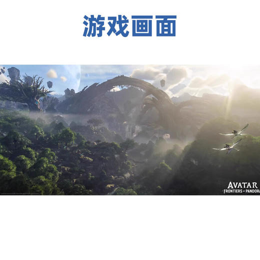 【共享租借】索尼（SONY）PS5游戏光盘 PS5 阿凡达潘多拉边境 商品图3