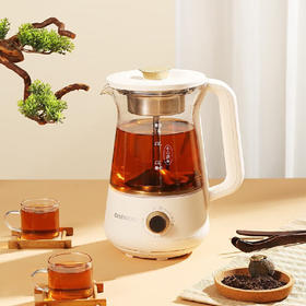 大宇煮茶器 DYZC-60P