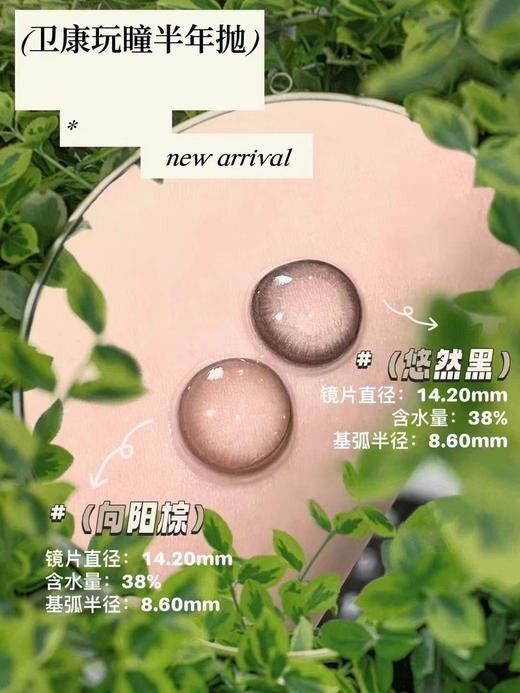 卫康玩瞳半年悠然黑和向阳棕 商品图2