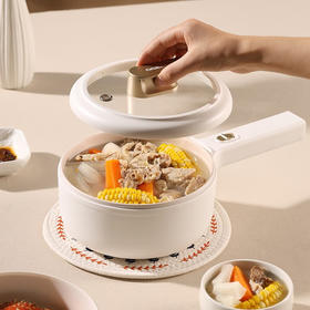 大宇电煮锅 迷你小火锅 DYZG-1570
