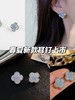 春夏必入Baby蓝四叶草耳钉 美炸了 商品缩略图0