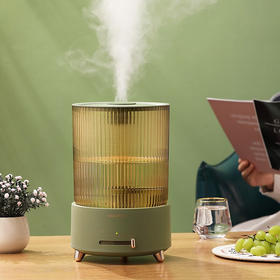 大宇 加湿器 DYJS-20P1