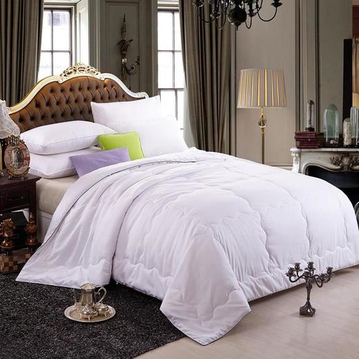 安睡桑蚕丝被500gBYCS601-1 商品图0