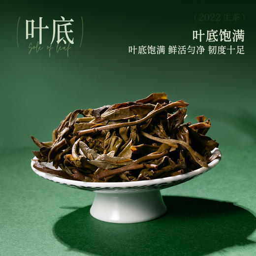 陈升号 2022年陈升一号357g（生茶） 商品图4