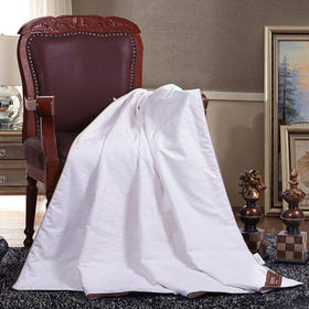 手工天然桑蚕丝被BYCS801