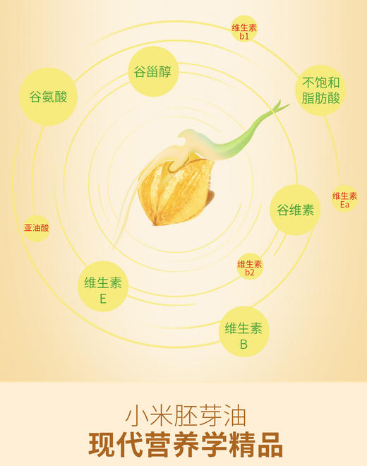 小米胚芽油   运动营养品 商品图2