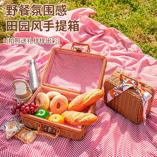 仿藤编织行李箱包伴手礼礼盒手提箱化妆品装饰道具收纳藤箱野餐篮 商品图2